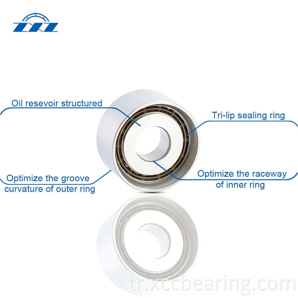 Tensioner bearings structure